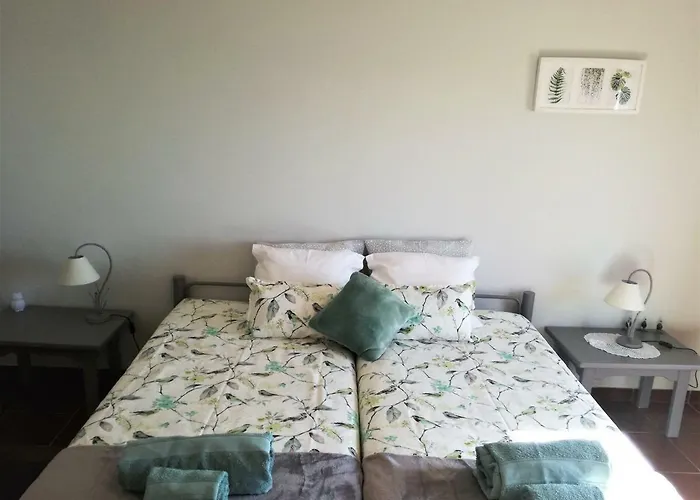 Casa Dos Passarinhos-seaview@nazare Casa de hóspedes *